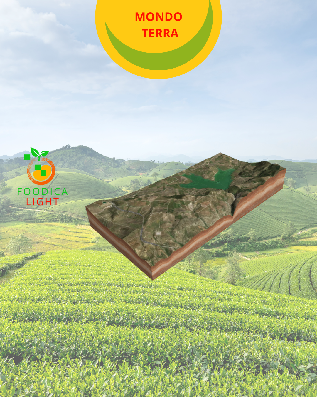MONDO TERRA
